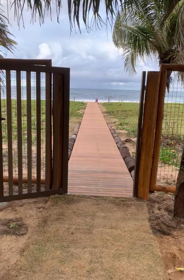 Apto Novo Beira-Mar Praia De Itacimirim Eksteriør bilde